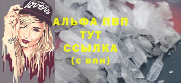 соль ск Каменка