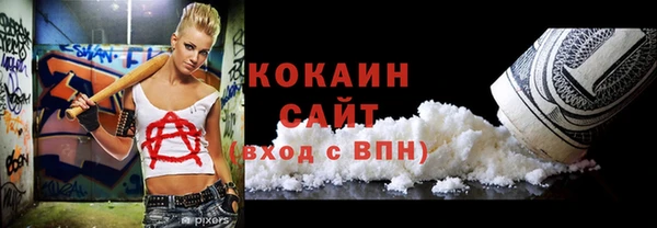 соль ск Каменка