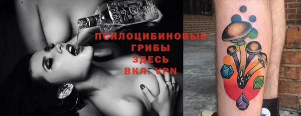 прущие крисы Каменногорск