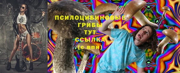 соль ск Каменка