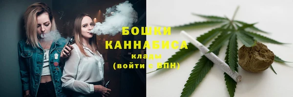 соль ск Каменка
