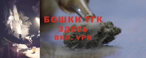 соль ск Каменка