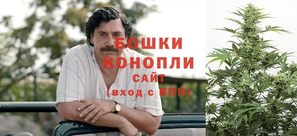 прущие крисы Каменногорск