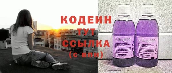 соль ск Каменка