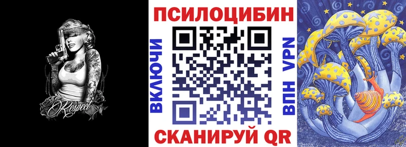Купить  Пласт  Галлюциногенные грибы прущие грибы 
